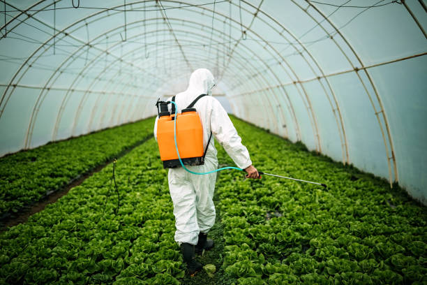 Best Pest Inspection Near Me  in Corvallis, MT