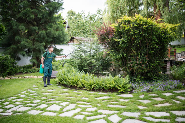 Best Emergency Pest Control  in Corvallis, MT