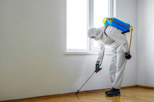 Best Pest Removal Services  in Corvallis, MT