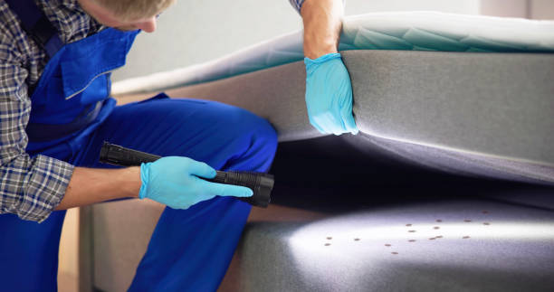 Best Pest Removal Services  in Corvallis, MT