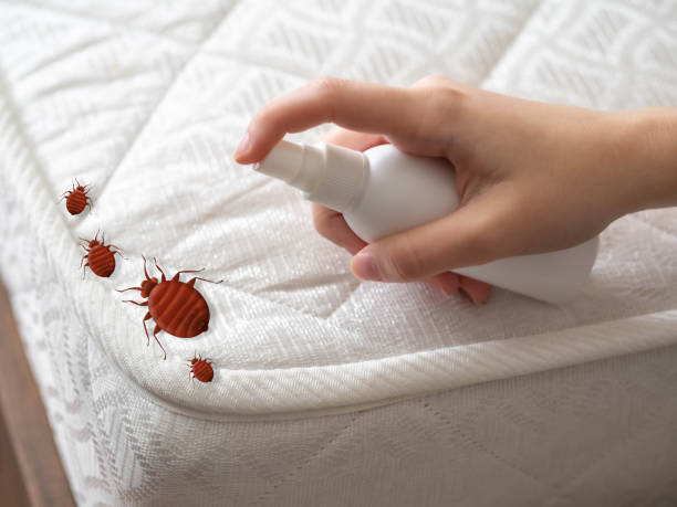 Best Flea Control Services  in Corvallis, MT