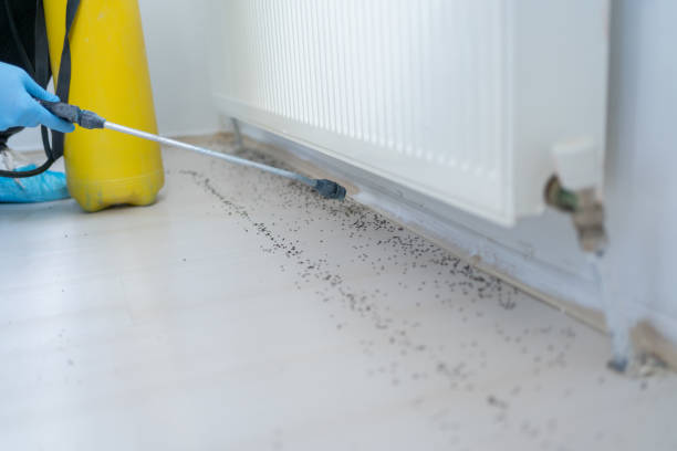 Best Cockroach Control Services  in Corvallis, MT
