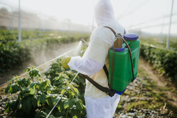 Best Local Pest Control Services  in Corvallis, MT